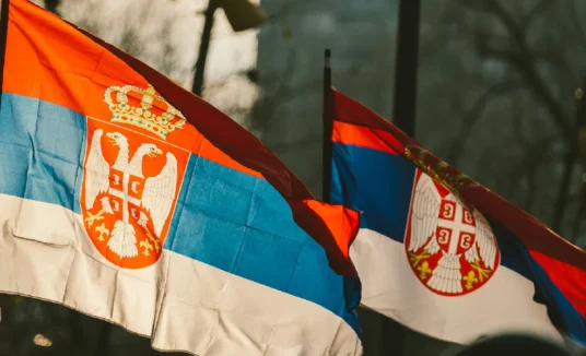 Sticanje državljanstva poreklom – Sve što treba da znate